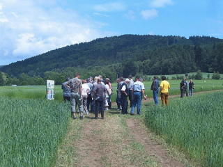 poln den - prohldka parcel